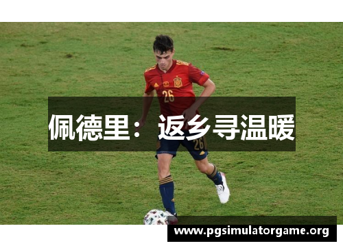 佩德里：返乡寻温暖