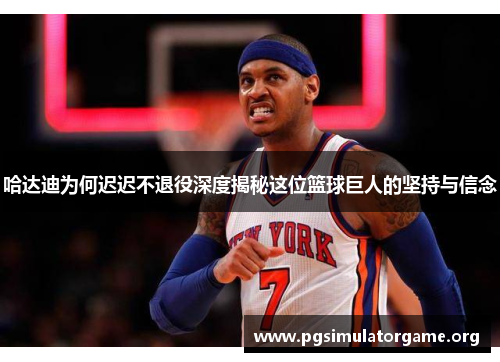 哈达迪为何迟迟不退役深度揭秘这位篮球巨人的坚持与信念