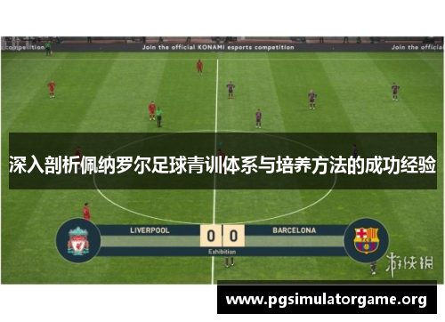 深入剖析佩纳罗尔足球青训体系与培养方法的成功经验