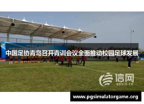 中国足协青岛召开青训会议全面推动校园足球发展