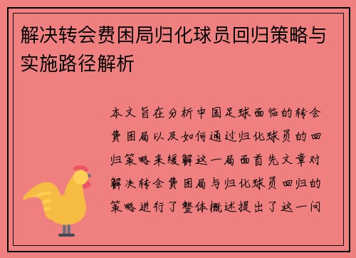 解决转会费困局归化球员回归策略与实施路径解析